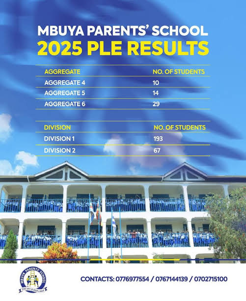 Another Year of Outstanding PLE Results